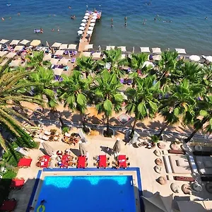 Palm ** Marmaris